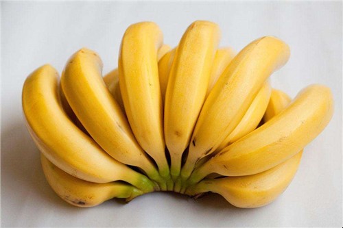 冬天怎麼快速催熟香蕉