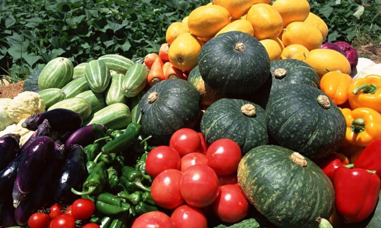 蔬菜如何在冰箱中更好保存