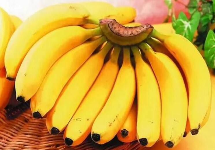香蕉怎麼儲存