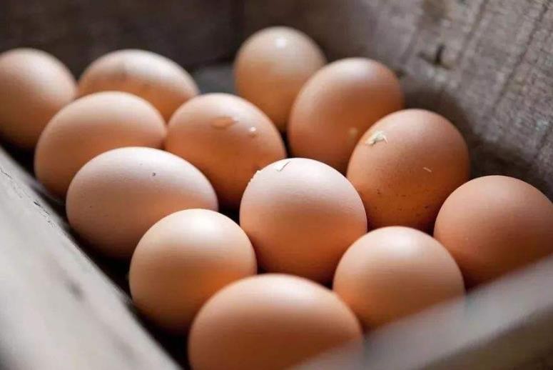 如何判斷雞蛋是否新鮮