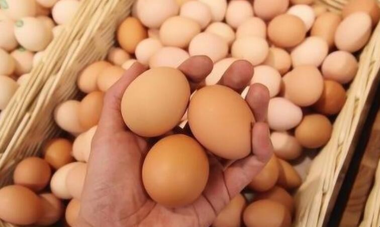 保存雞蛋有哪些註意事項