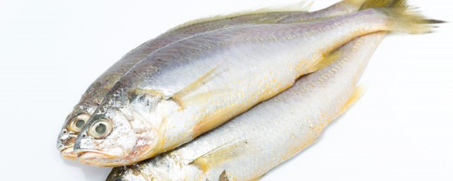 傢常煎黃花魚的做法 傢常煎黃花魚的烹飪方法