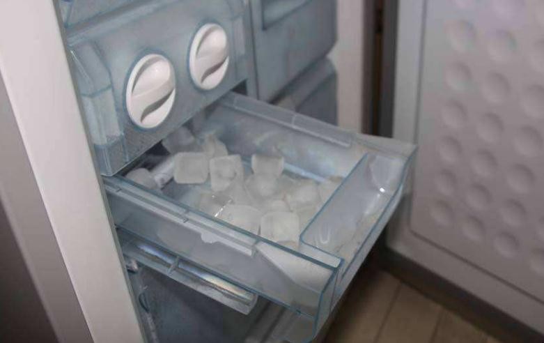 冰箱冷凍層會有細菌嗎