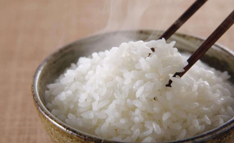 熱米飯可以放冰箱裡嗎