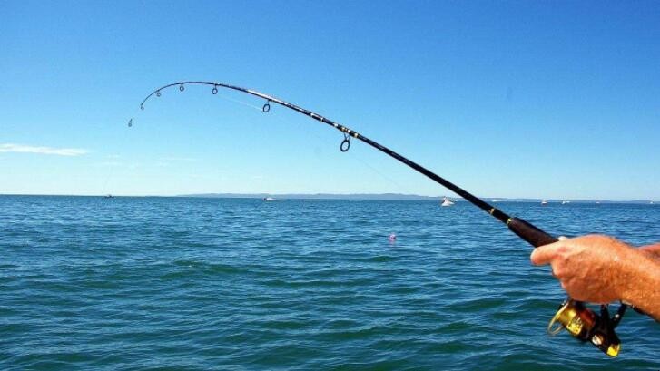 春天釣魚有什麼簡單技巧