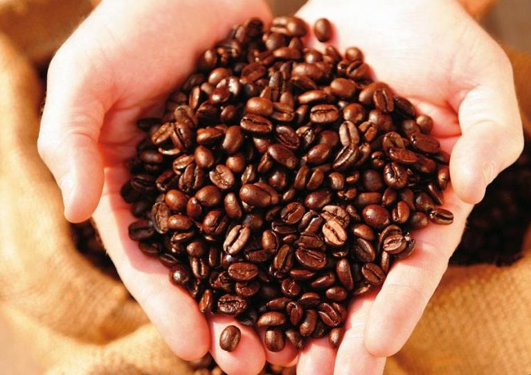 咖啡豆的種類有哪些