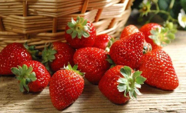 如何鑒別激素草莓