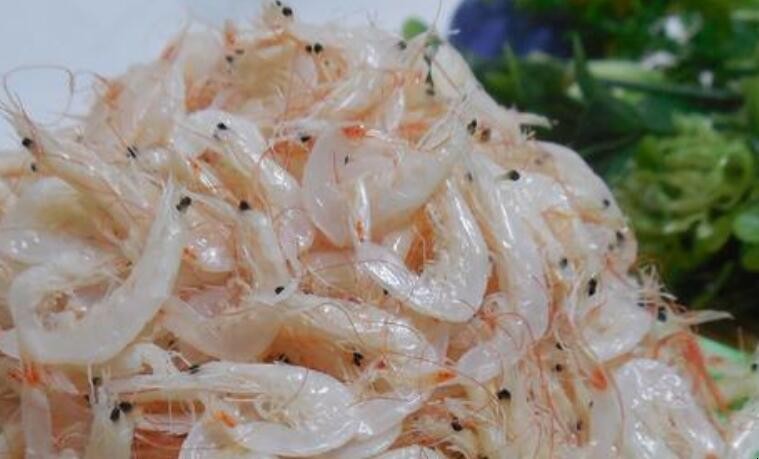 挑選蝦米的小常識有什麼