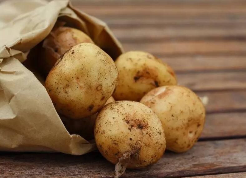 土豆挑選方法是什麼