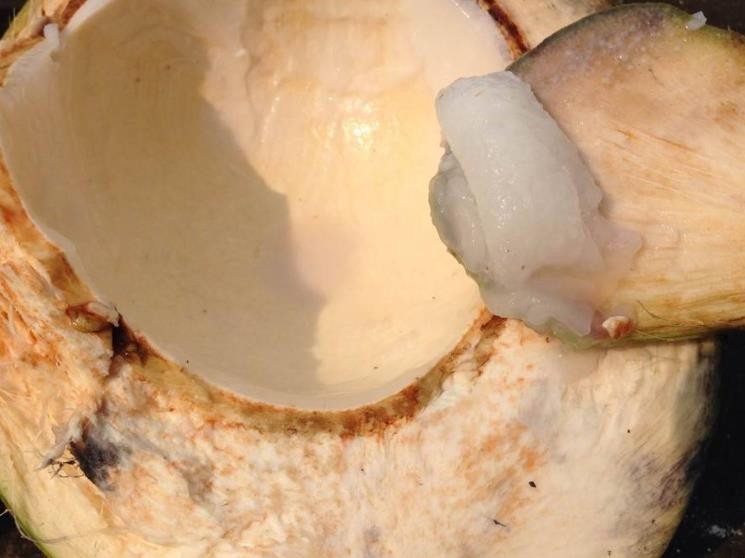 椰汁椰肉的功效與作用是什麼