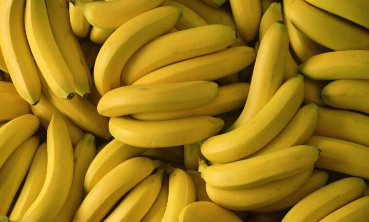 為什麼香蕉不能放冰箱保鮮