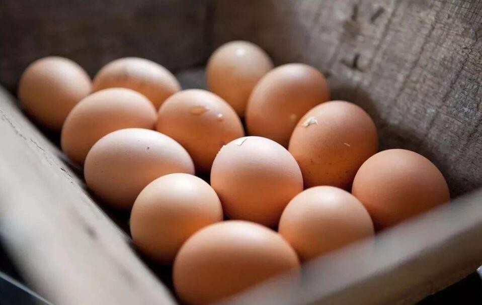 怎麼判斷雞蛋沒有沒壞