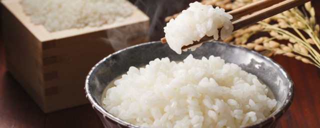 一個人的蒸米飯的傢常做法 一個人的蒸米飯的傢常做法詳情