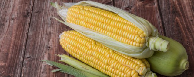 玉米排骨怎麼燉好吃 如何做玉米燉排骨