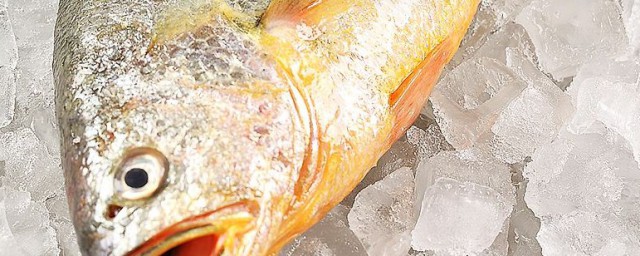 怎樣冷凍魚保持最新鮮 冷凍魚如何保鮮