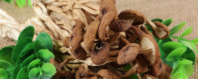 幹鍋臘肉茶樹菇的傢常做法 如何做幹鍋臘肉茶樹菇
