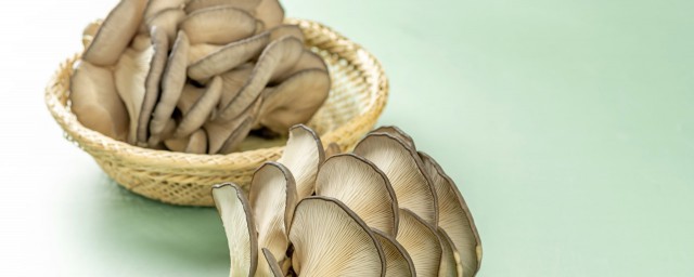 菌菇的具體種類 菌菇種類簡介
