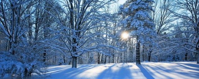 冬天下雪早安問候語句子50條 冬天下雪早安問候語句子