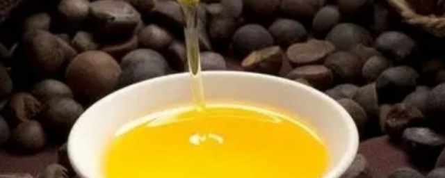 木子油和山茶油的區別 木子油和山茶油的區別是什麼