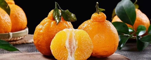 醜橘和耙耙柑的區別 如何區別醜橘和耙耙柑
