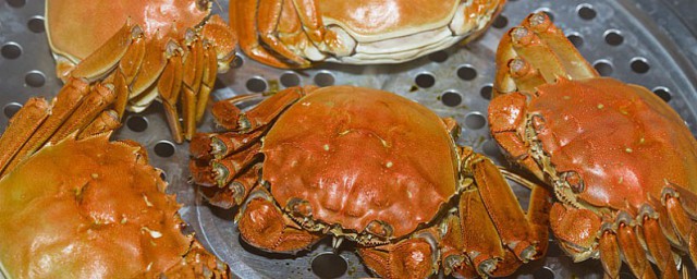 大蝦蟹怎麼蒸 清蒸大閘蟹的傢常做法分享