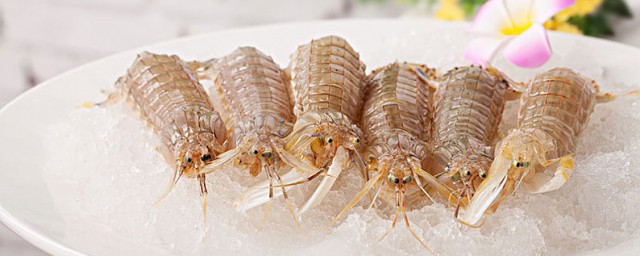 皮皮蝦怎麼去蝦線 皮皮蝦蝦線處理方法分享
