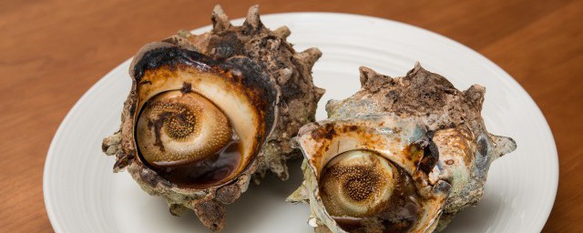 海螺怎麼燒 海螺做法