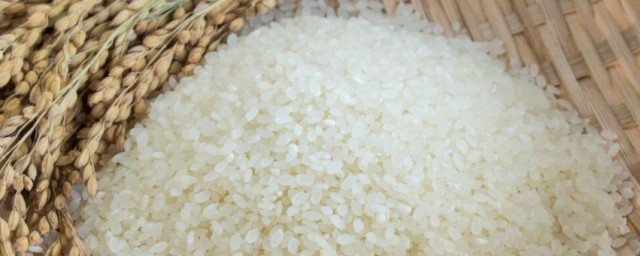 長蟲的米可以吃嗎 長蟲的米能吃嗎