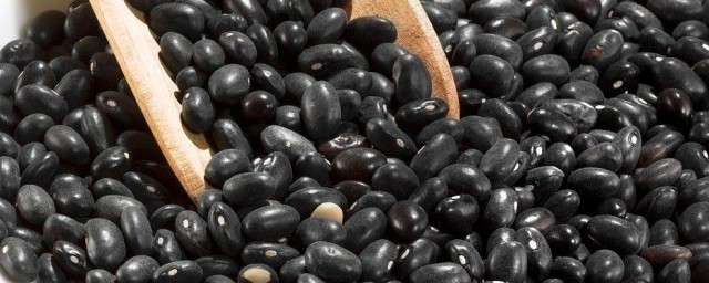 黑豆怎麼吃最好的功效 黑豆如何吃最好的功效