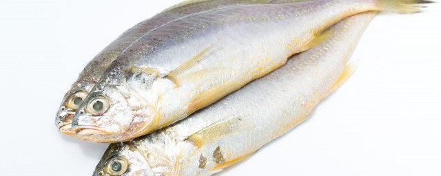 黃花魚煮法 燉大黃花魚的傢常做法