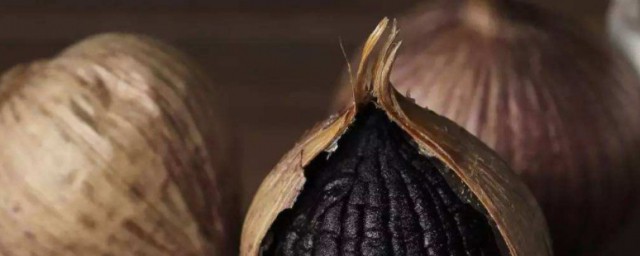 黑蒜種植技術是怎樣的 黑蒜種植技術介紹