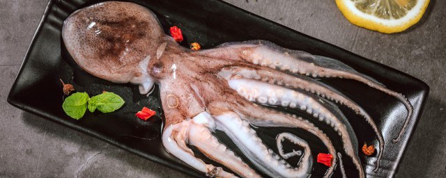 活章魚怎麼吃 章魚簡單做法