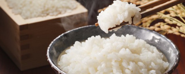 蒸子蒸米飯教程 蒸子蒸米飯辦法一覽
