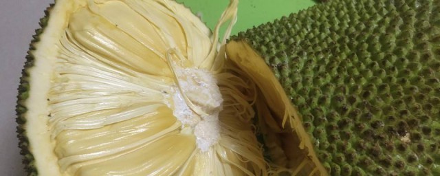 切菠蘿蜜的正確方法 切菠蘿蜜方法分享