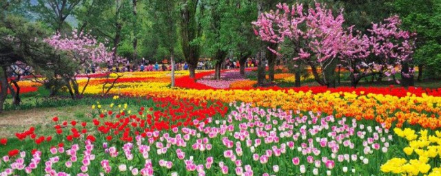 十月份適合去北京植物園麼 十月份去北京植物園好嗎