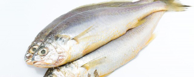 魚凍子的傢常做法 魚凍子怎麼做好吃