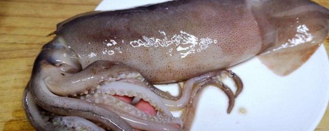 魷魚的黑膜能吃嗎 魷魚的黑膜可以吃嗎