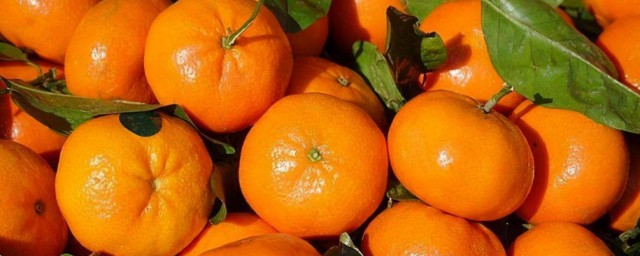 橘子什麼時候的好吃 橘子啥時候的好吃