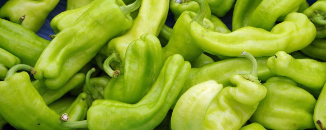 青椒是熱性還是涼性 關於青椒的食物屬性