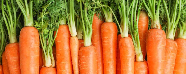 胡蘿卜是堿性食物還是酸性食物 胡蘿卜的作用介紹