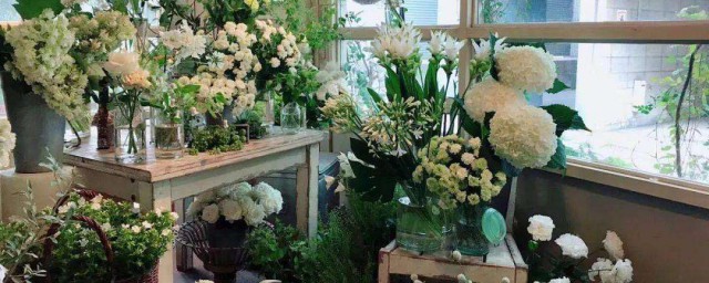 花店的養殖方法 花店裡鮮花的保養方法介紹