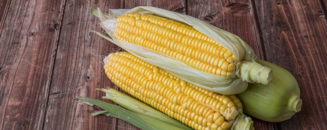 玉米是否屬於發物 玉米是不是發物