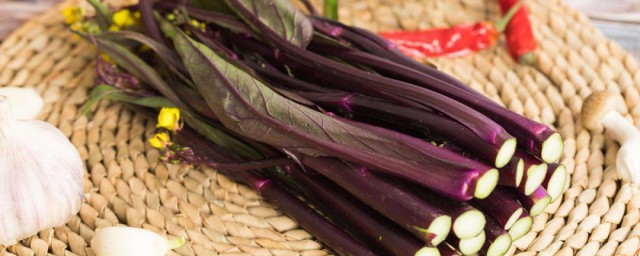 紅菜苔有什麼營養價值 紅菜苔的營養價值介紹