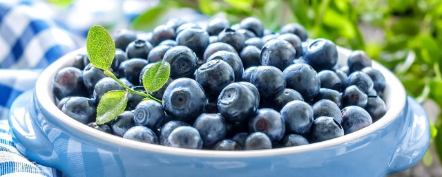 藍莓是涼性水果嗎 藍莓是否是涼性水果