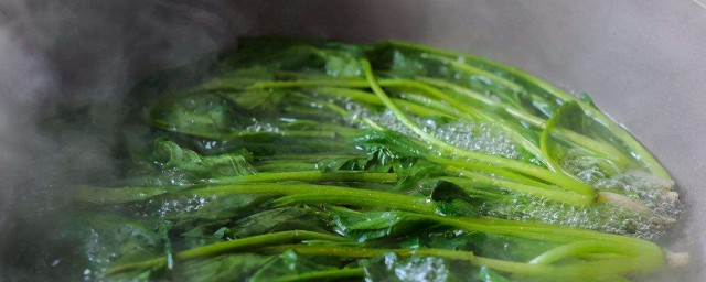 菠菜焯水怎麼保持翠綠 菠菜焯水保持翠綠的方法