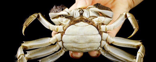 螃蟹不放水能活多久 螃蟹不放水能養多久