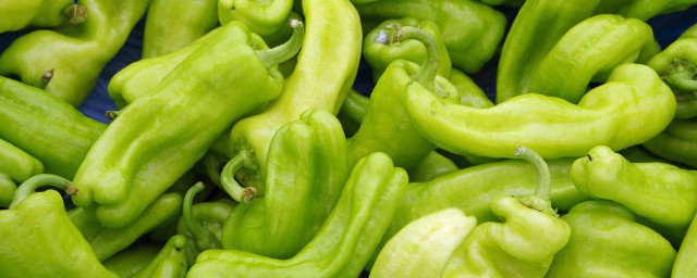 青椒的四大功效與作用 青椒的四大功效與作用是什麼