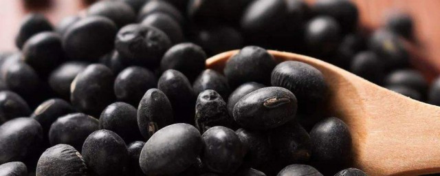 黑豆如何保存不易起蟲 黑豆怎麼保存不易起蟲