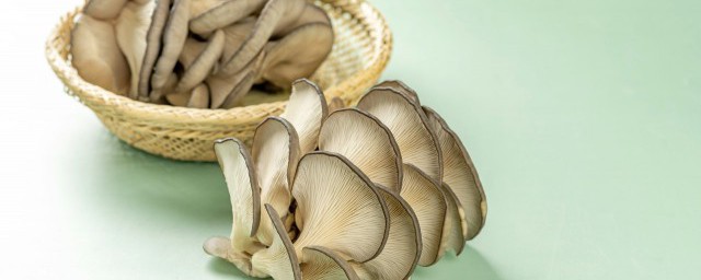 蘑菇為什麼長白毛 蘑菇長白毛的原因
