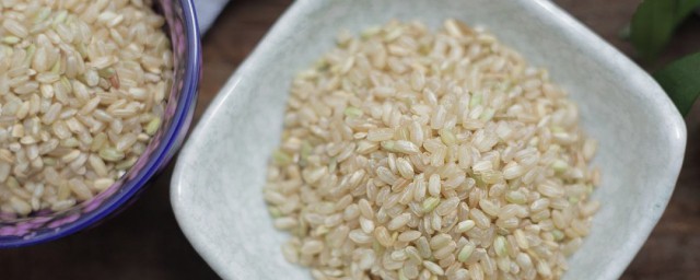 糙米放多少水 糙米放需要多少水